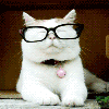 猫叔